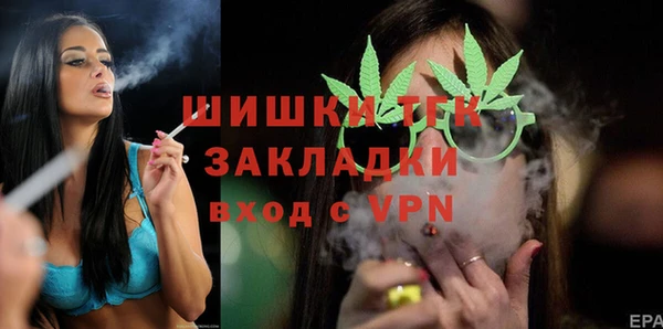 шишки Переславль-Залесский