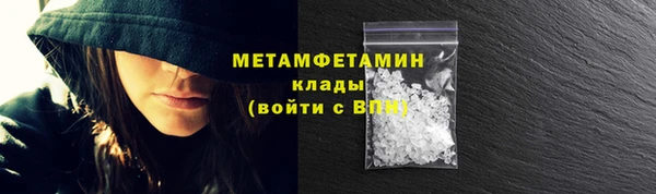 хмурый Пересвет