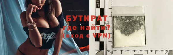 хмурый Пересвет