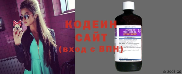 шишки Переславль-Залесский