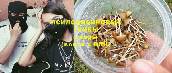 гидропоника Алзамай