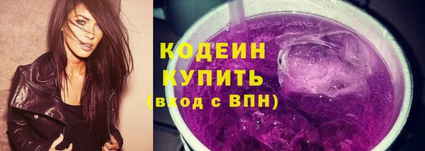 молекула духа Пестово
